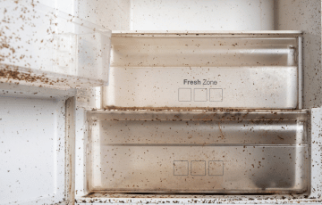 Before image of matters